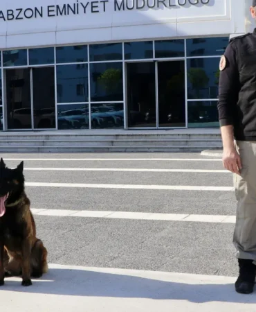 a a 20250430 37798296 37798295 t r a b z o n d a h a s s a s b u r u n l a r m a y a v e l i y a u y u s t u r u c u y l a m u c a d e l e d e o n e m l i r o l a l i y o r