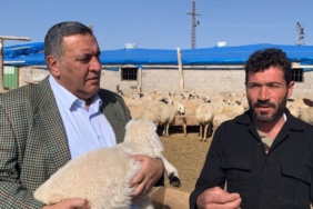 ciftcinin kecileri ve oglaklari icra yoluyla satilacak