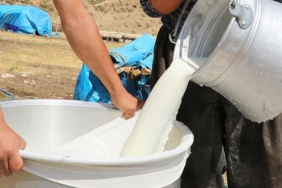 cig sut ureticisi zor durumda litresi 25 tl olmazsa uretim bitebilir