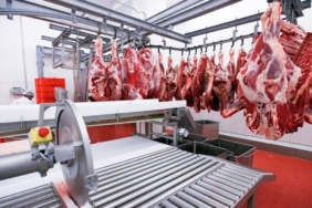 dana ve kuzu kesim fiyatlari piyasasi karisti biri sabit tuttu digeri dusurdu