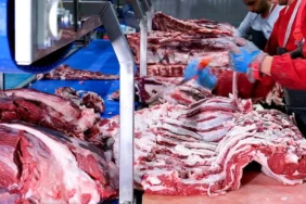 et fiyatlarinda sasirtici dusus ukondan dana ve kuzu kesim fiyati aciklamasi