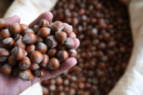 findikta don felaketi etkisi fiyatlar rekor kirdi tmo satislari durdurdu 1