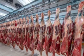 kirmizi et fiyatlarinda sasirtan gelisme ani dusus yasandi 2