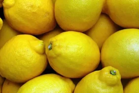 limon ihracati durduruldu ticaret bakanligindan aciklama