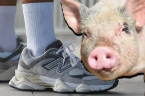 new balance ayakkabi markasinda domuz derisi alarmi