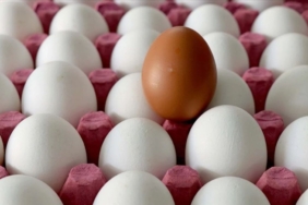 yumurta fiyatlari tirmaniyor kolisi 300 lirayi asti 1