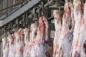 2 mayis 2025 guncel et fiyatlari ankarada dana kesim 485 tlye ulasti