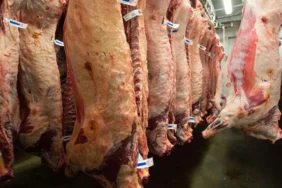 kuzu kesim fiyatlarinda sert dusus et fiyatlarinda degisim soz konusu 2