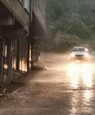 thumbs b c fd8c40a43dbf0841cde682b9b34203e1