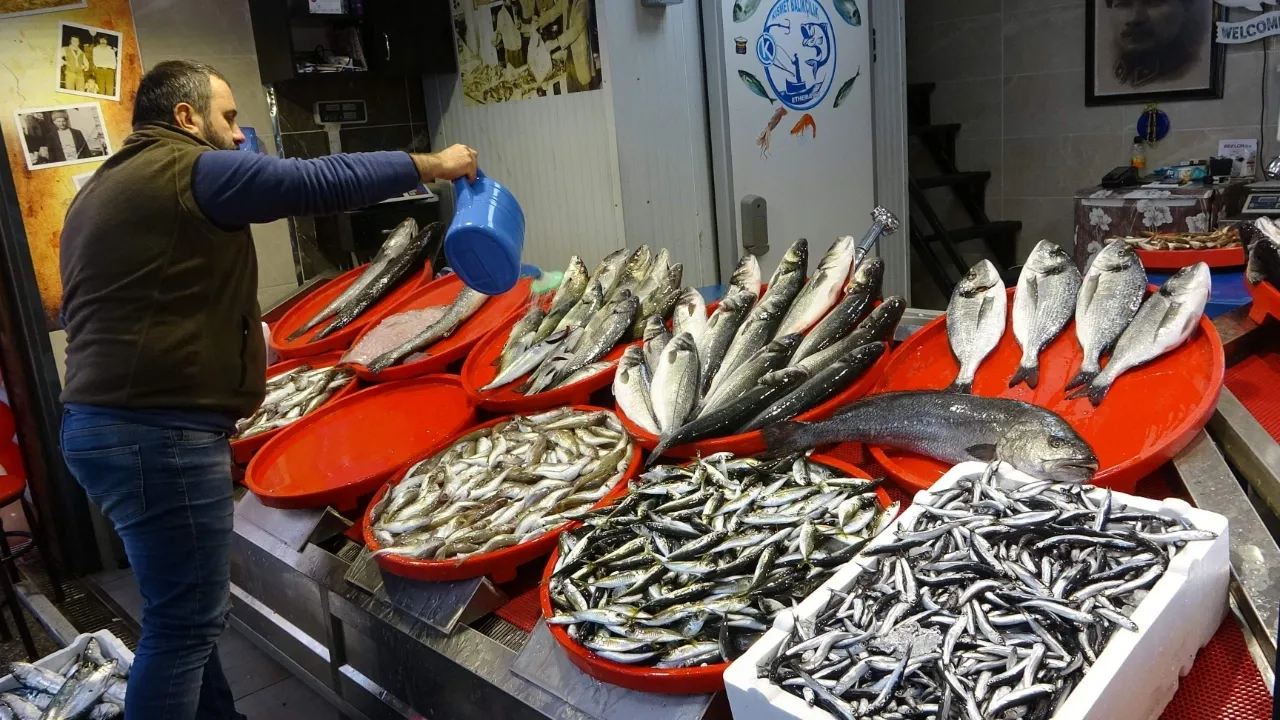 İstanbul Balık Hali fiyatları açıklandı: İşte güncel liste…