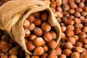 2710 serbest piyasa findik fiyatlari dususte 5 haziran ordu findik fiyatlari