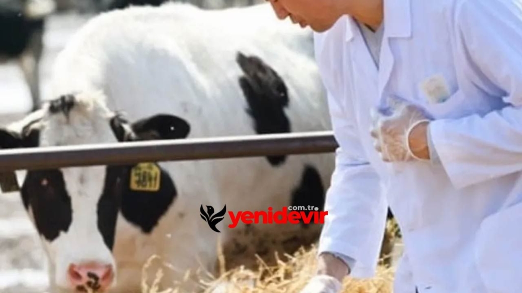 tarimsal girdiler sabit et fiyatlarinda gozle gorulur fiyat dususu var