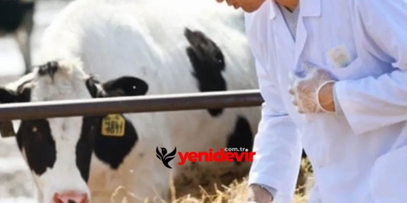 tarimsal girdiler sabit et fiyatlarinda gozle gorulur fiyat dususu var