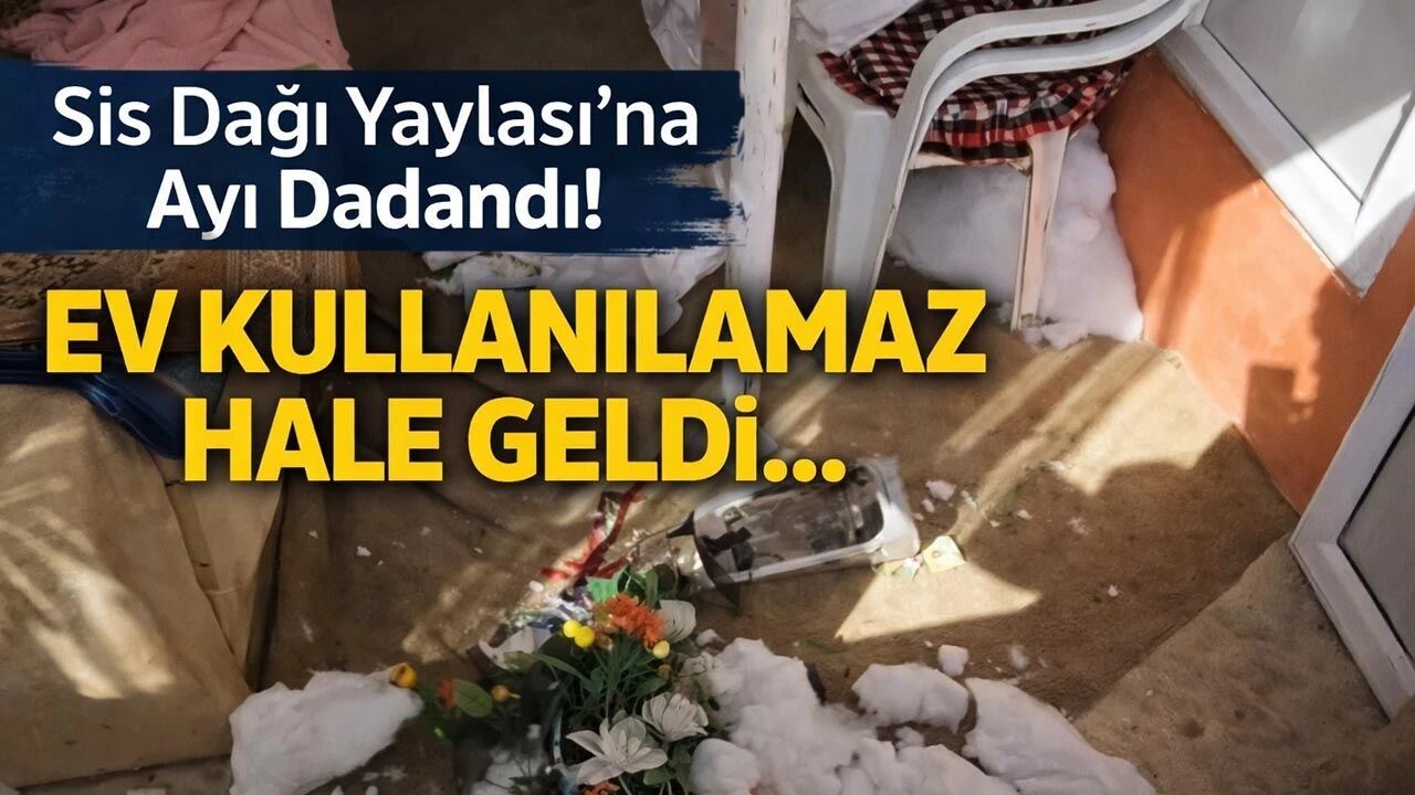 Sis Dağı Yaylası’nda Ayı Vakası: Bir Ev Kullanılamaz Hale Geldi