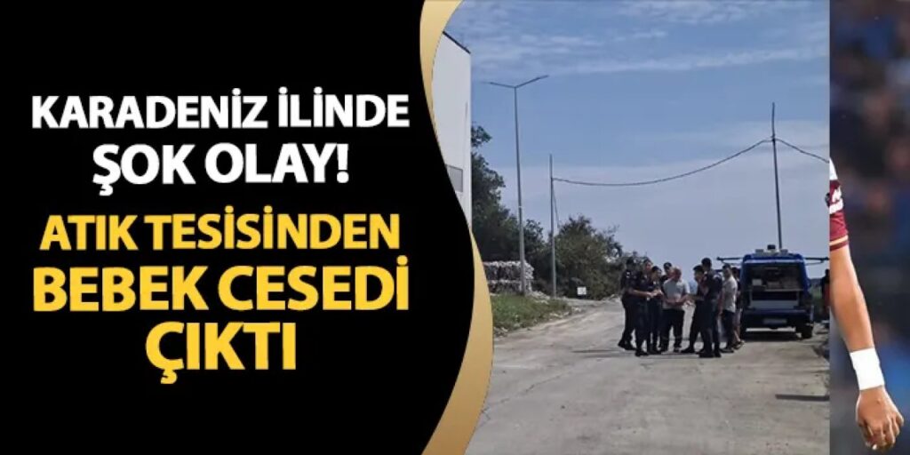 Sinop’te dehşete düşüren olay! Atık tesisinden bebek cesedi çıktı Sinop'te dehşete düşüren olay! Atık tesisinden bebek cesedi çıktı
