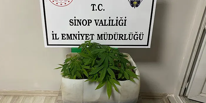 Sinop’ta uyuşturucuyla mücadele operasyonu! 3 kişi yakalandı Sinop'ta uyuşturucuyla mücadele operasyonu! 3 kişi yakalandı